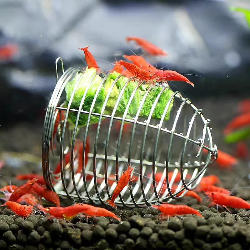 Aquarium Fertilizer - Stainless Steel Aquarium Small Fishing Bait