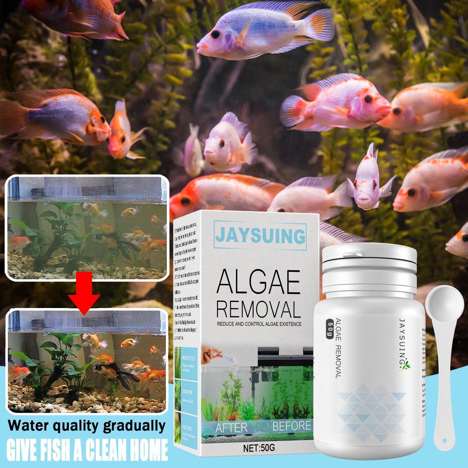 Aquarium Moss - Aquarium Algae Remover Powder, Algae Moss