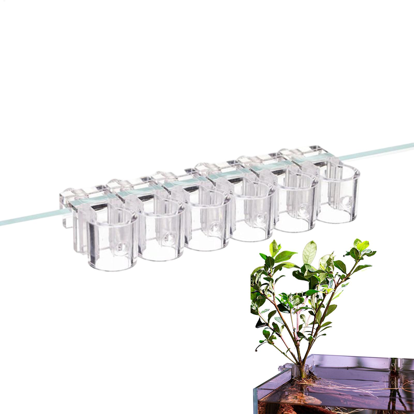 Aquarium Plant Holder - Aquarium Plant Basket Transparent Fish Tank