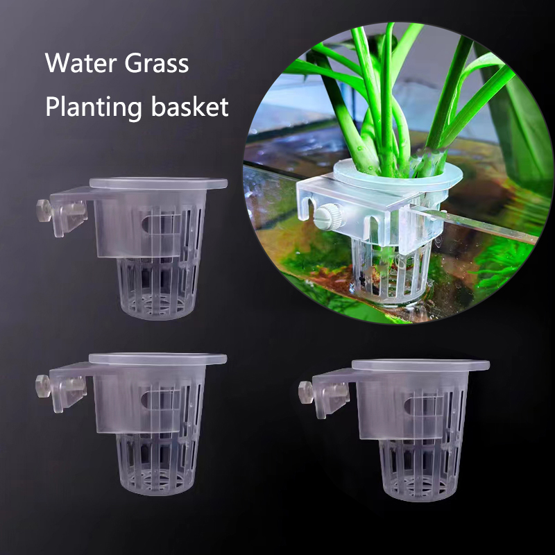 Aquarium Plants Live - Aquarium Planting Basket Hydroponic Support Hangable