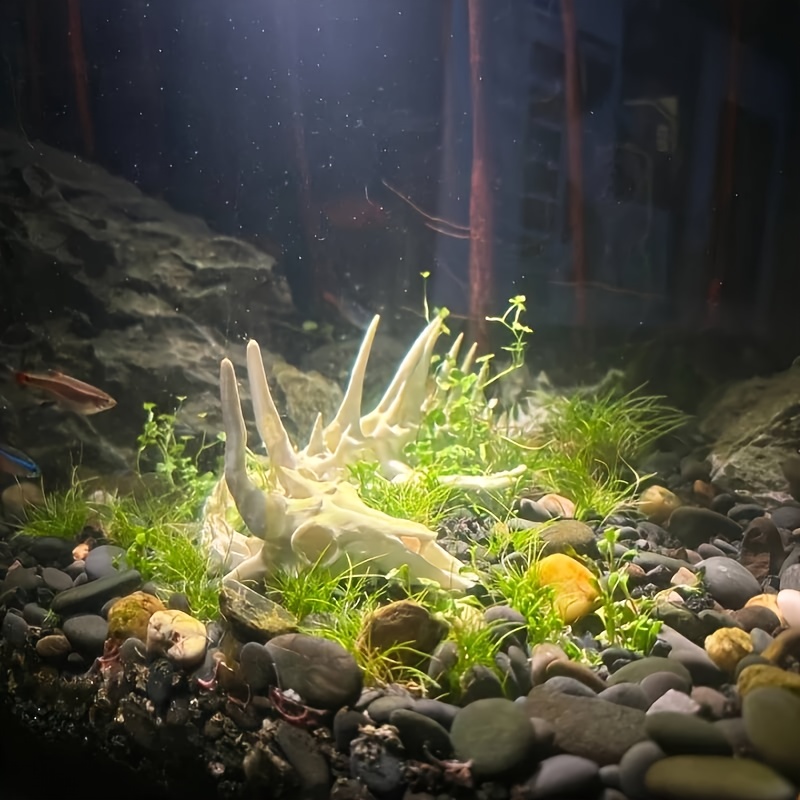 1pc Dragon-Shaped Fishbone Dec - đánh giá và giá Aquarium Plants Live