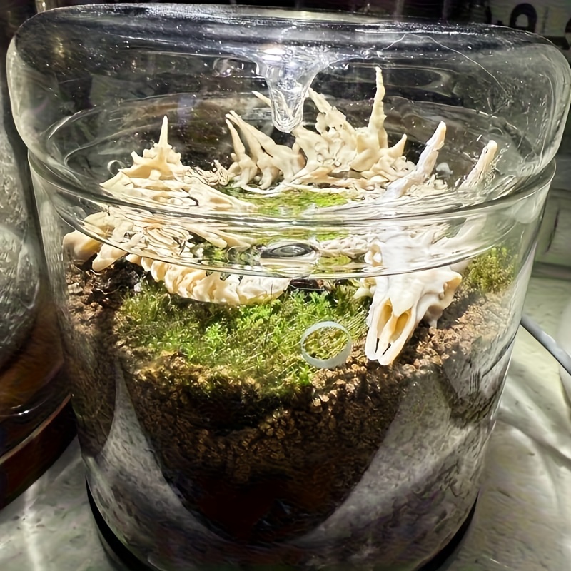 1pc Dragon-Shaped Fishbone Dec - đánh giá và giá Aquarium Plants Live
