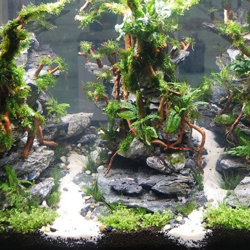 Natural Driftwood Root Trunk T - đánh giá và giá Aquarium Driftwood