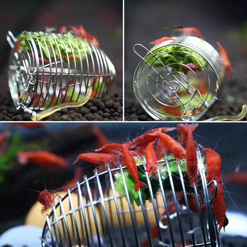 Stainless Steel Aquarium Small - đánh giá và giá Aquarium Fertilizer