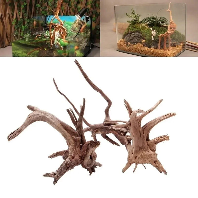 Natural Tree Trunk Driftwood A - đánh giá và giá Live Plant Aquarium