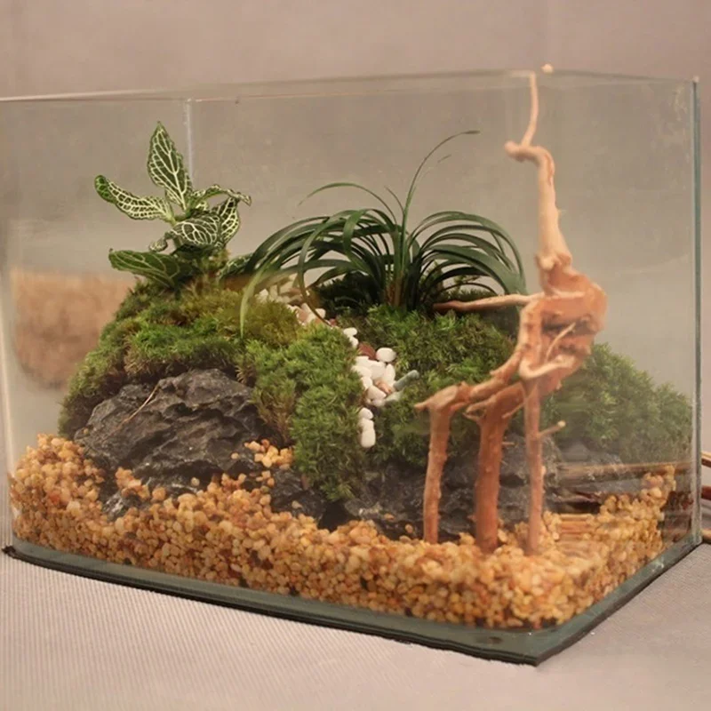 Natural Tree Trunk Driftwood A - đánh giá và giá Live Plant Aquarium