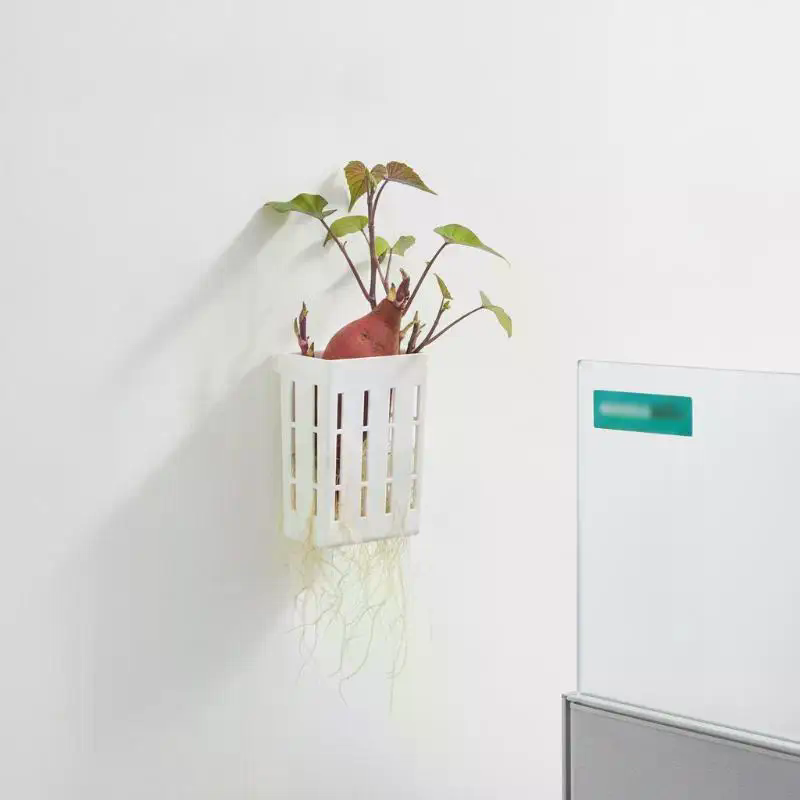 1Pcs Hydroponic Support Basket - đánh giá và giá Aquarium Plant Holder