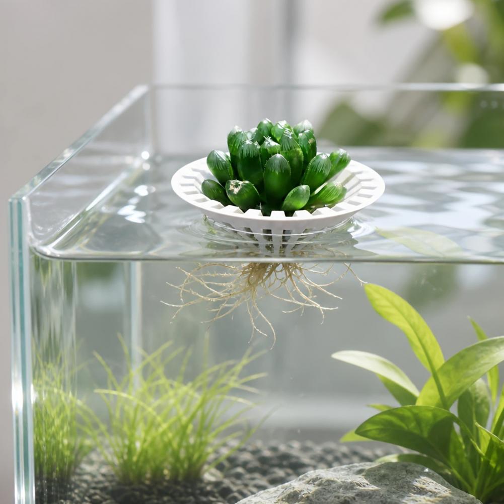 Aquarium Hydroponic Planter 3d - đánh giá và giá Aquarium Plant Holder