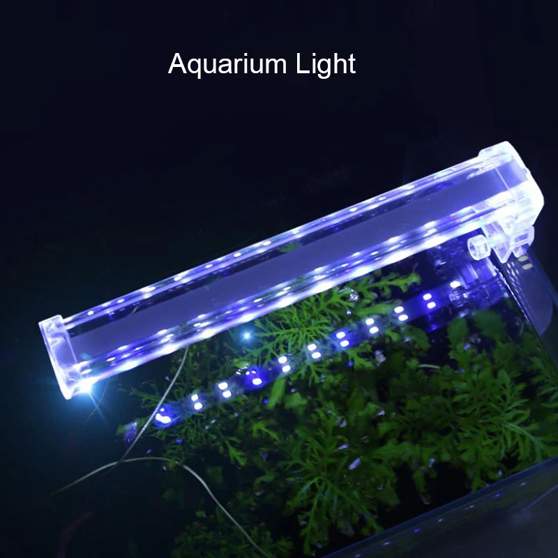 High Transparent LED Aquarium  - đánh giá và giá Aquarium Plant Light