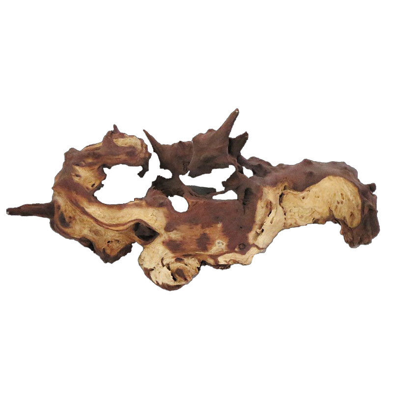 Mopani Roots Driftwood Wholesa - đánh giá và giá Aquarium Driftwood