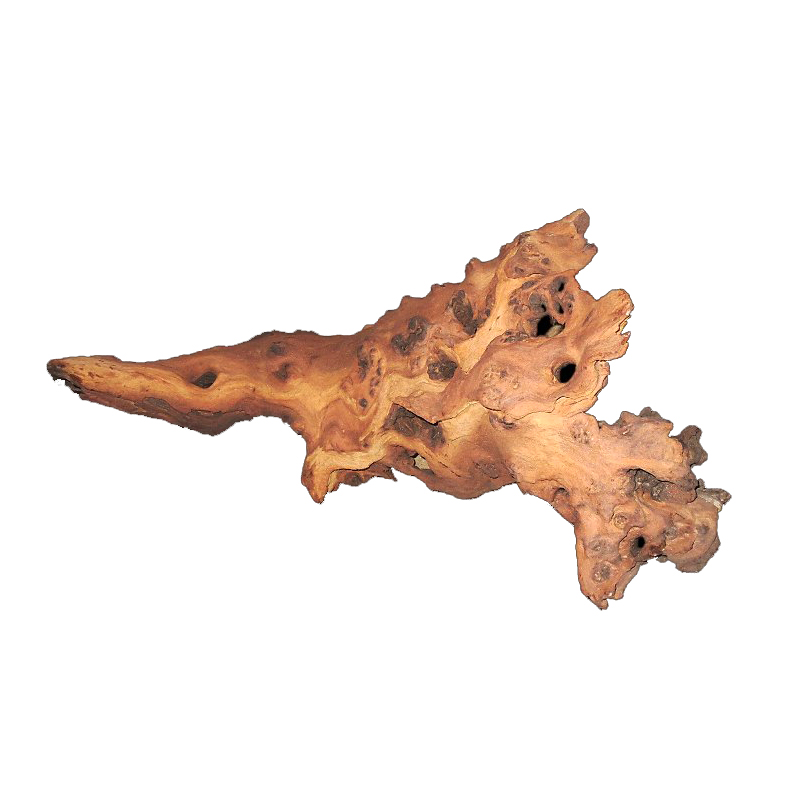 Mopani Roots Driftwood Wholesa - đánh giá và giá Aquarium Driftwood