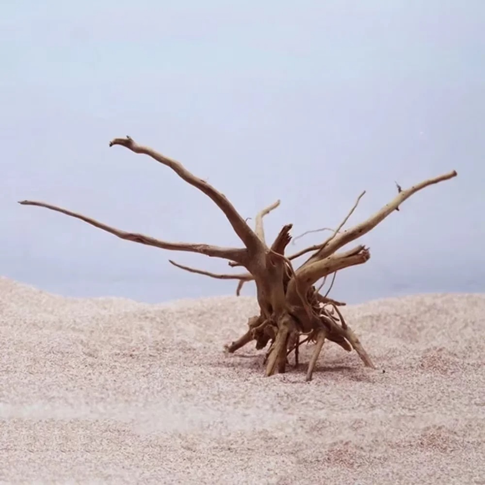 15-20CM Natural Driftwood Aqua - đánh giá và giá Aquarium Driftwood