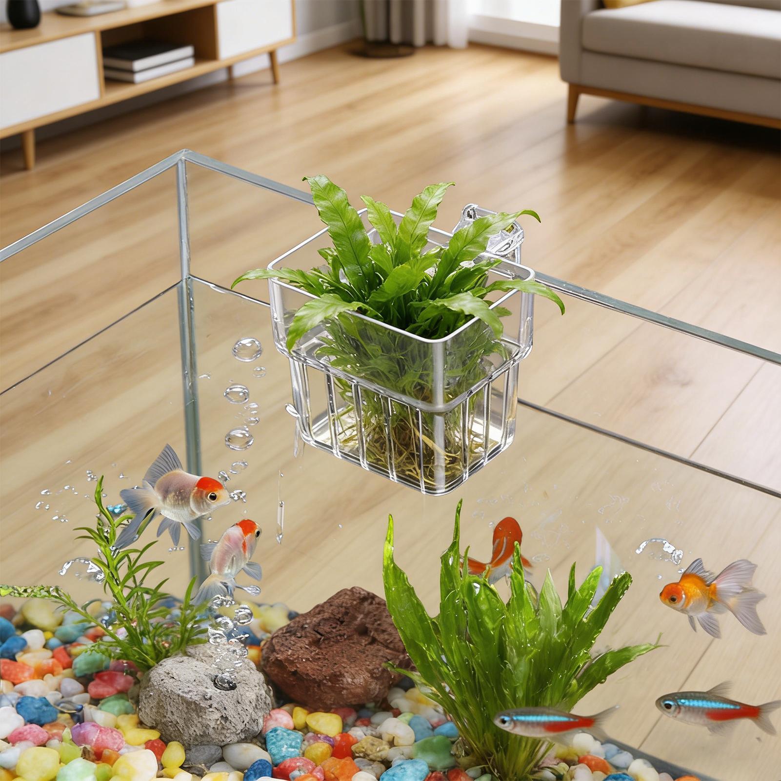 Fish Tank Fixed Basket Wall mo - đánh giá và giá Aquarium Plant Holder