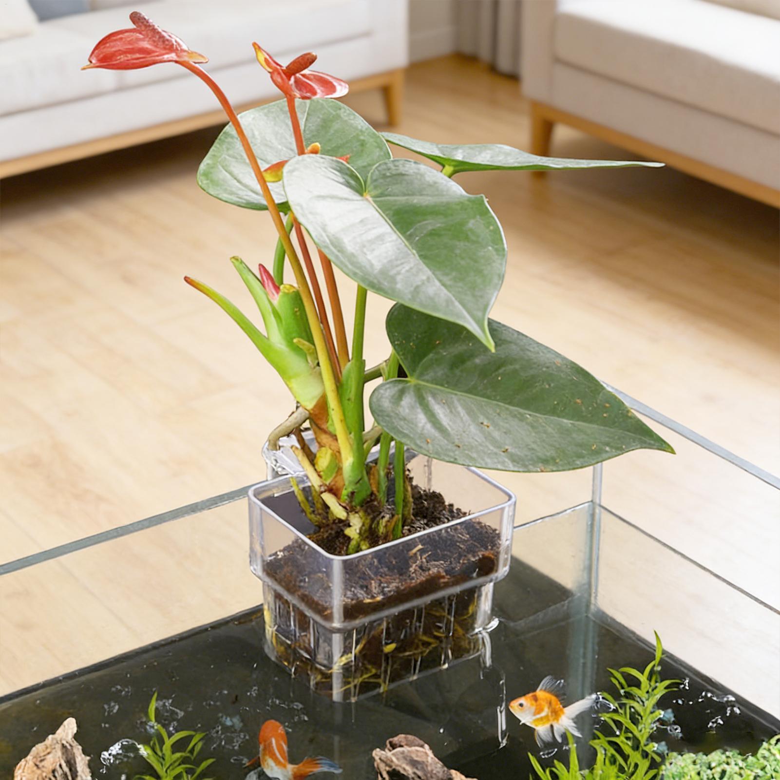 Fish Tank Fixed Basket Wall mo - đánh giá và giá Aquarium Plant Holder