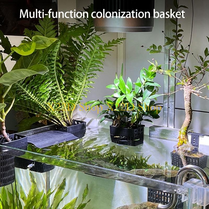 X22D Phong cách cổ xưa hiện đạ - đánh giá và giá Aquarium Plant Holder