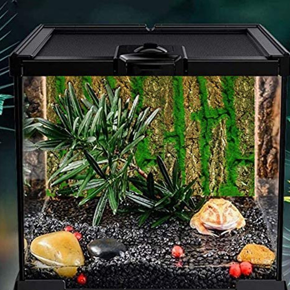 3D Aquarium Background Board S - đánh giá và giá Aquarium Moss