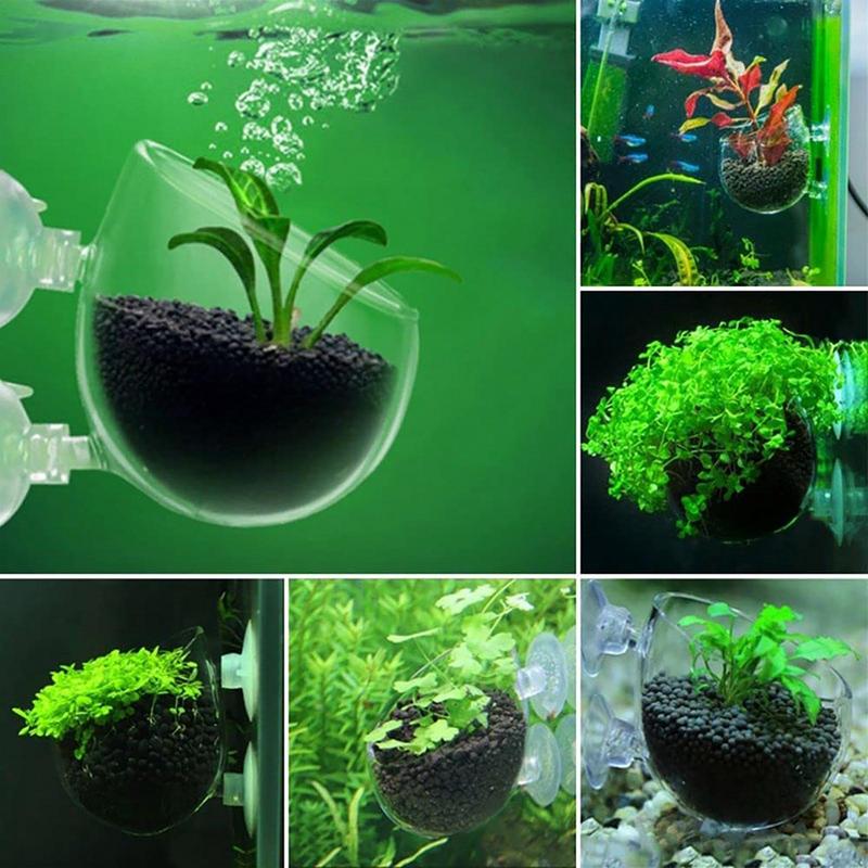 Aquarium Decorations Plant Cup - đánh giá và giá Aquarium Plant Holder
