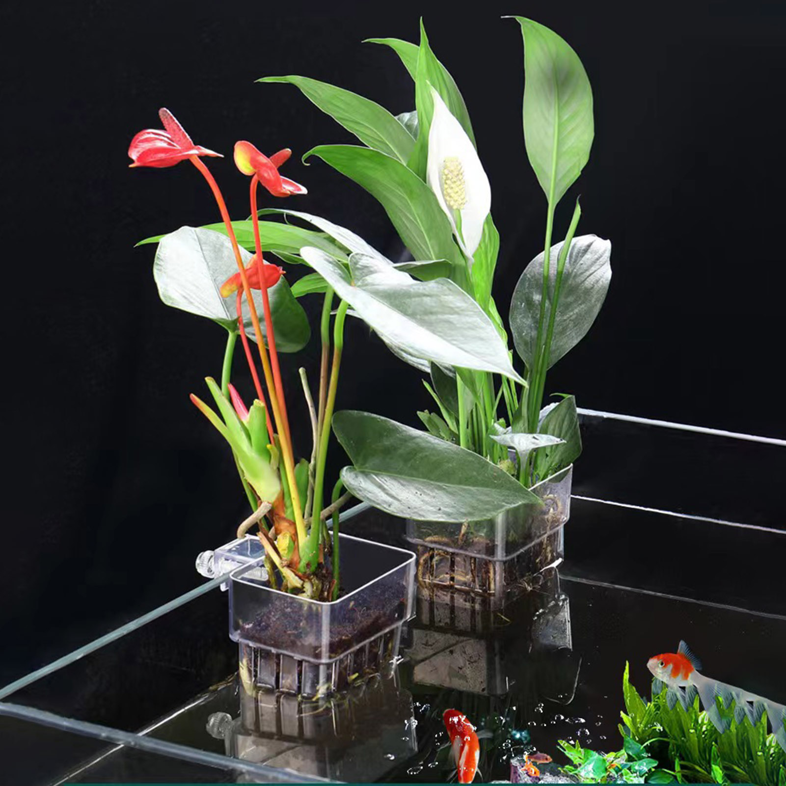 Clear Acrylic Plant Holder Hyd - đánh giá và giá Aquarium Plant Holder