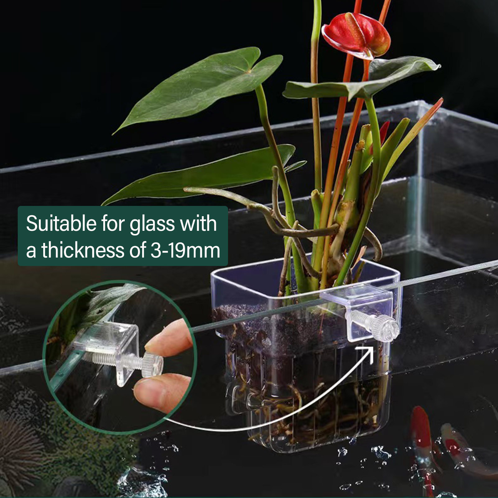 Clear Acrylic Plant Holder Hyd - đánh giá và giá Aquarium Plant Holder