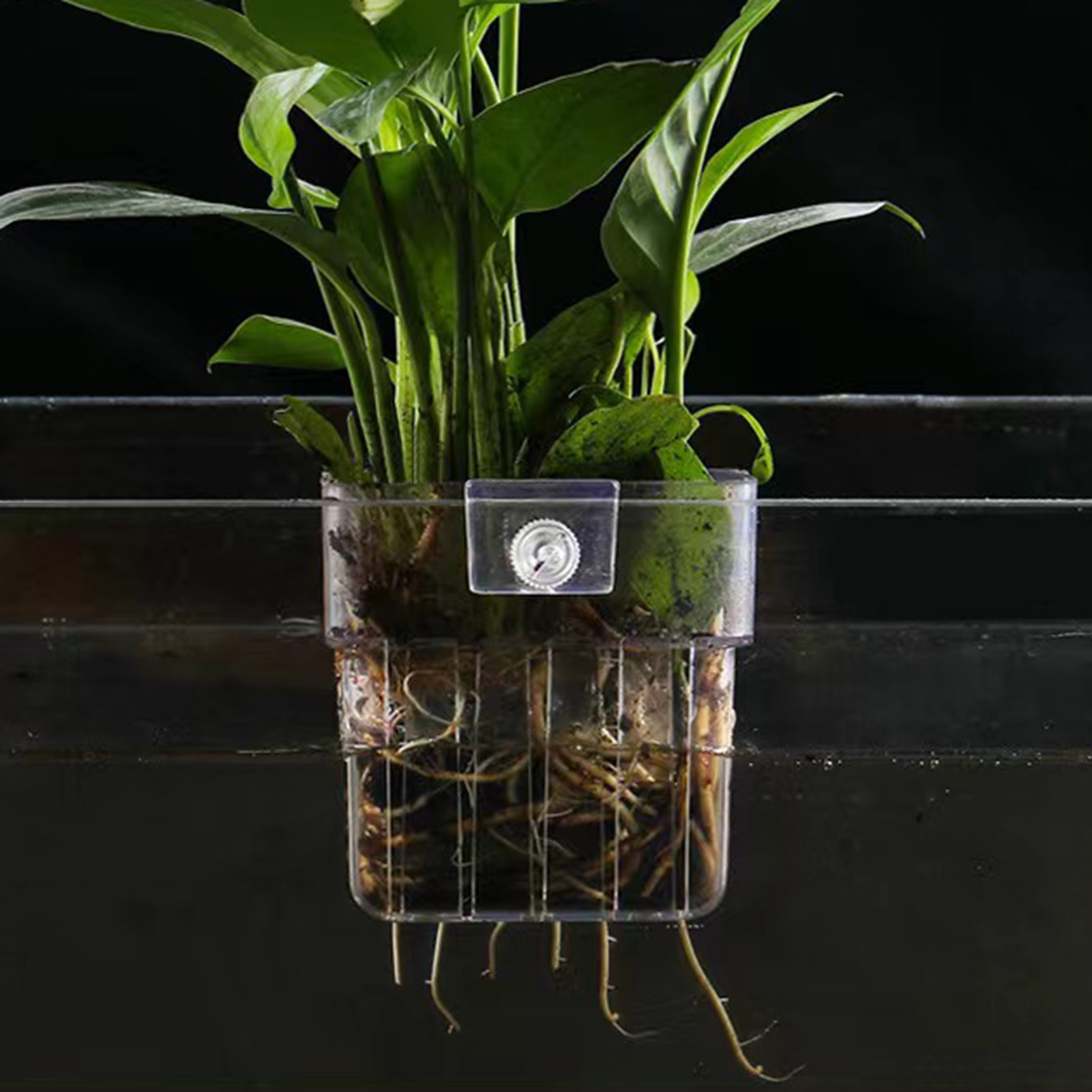Clear Acrylic Plant Holder Hyd - đánh giá và giá Aquarium Plant Holder