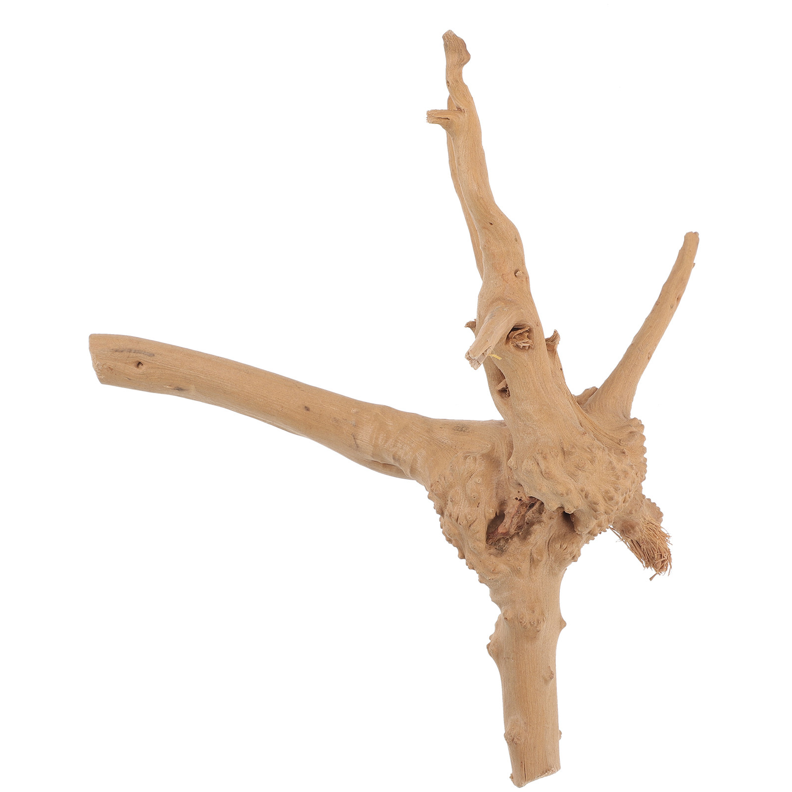 Natural Rhododendron Driftwood - đánh giá và giá Aquarium Driftwood