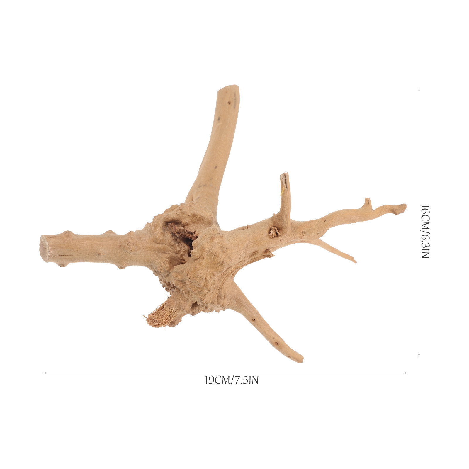 Natural Rhododendron Driftwood - đánh giá và giá Aquarium Driftwood
