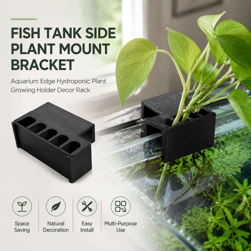 Fish Tank Side Plant Mount Bra - đánh giá và giá Aquarium Plant Holder