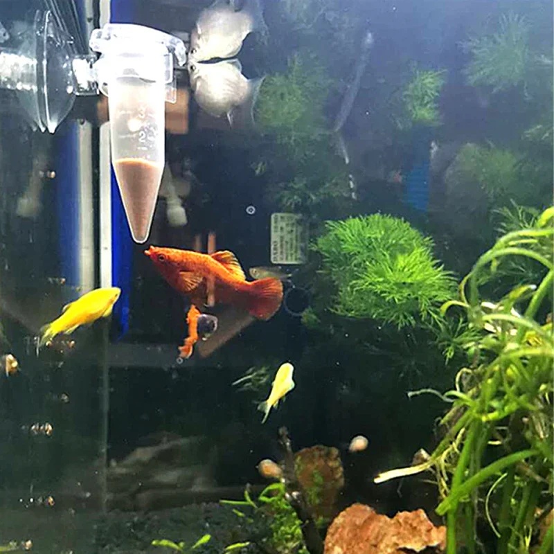 Automatic Fish Feeder Cone Shr - đánh giá và giá Aquarium Fertilizer