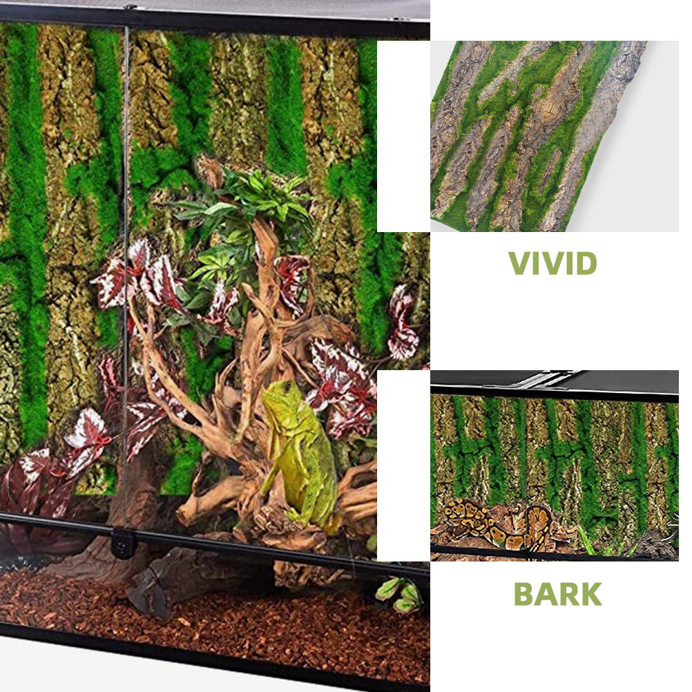 3D Aquarium Background Board S - đánh giá và giá Aquarium Moss
