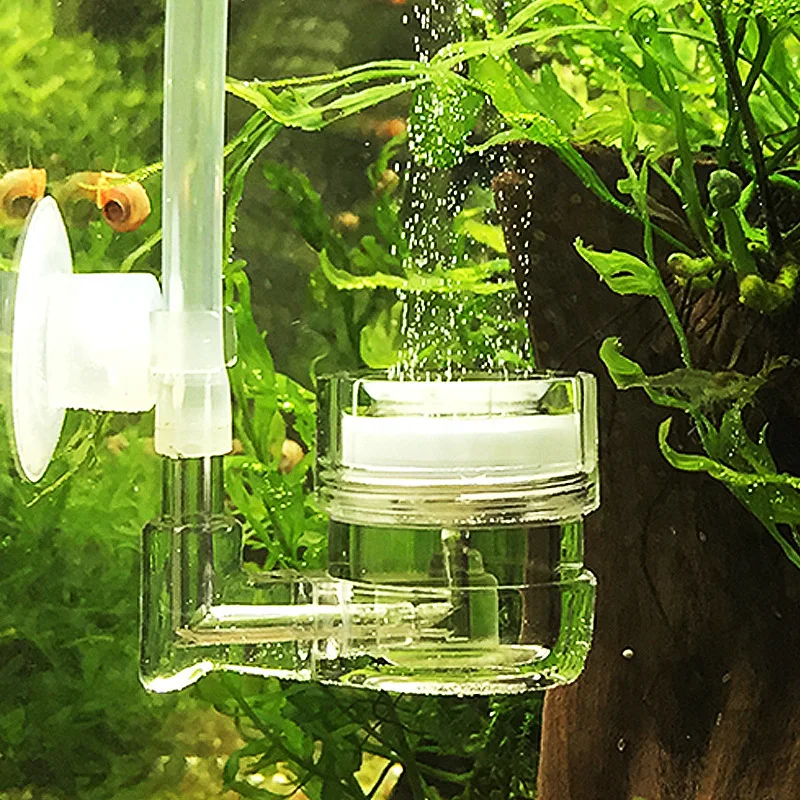 Aquarium 4 in 1 CO2 Diffuser G - đánh giá và giá Live Plant Aquarium