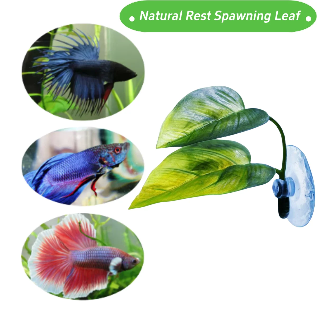 Pets Fish Tank Decor Betta Rel - đánh giá và giá Aquarium Plant Holder