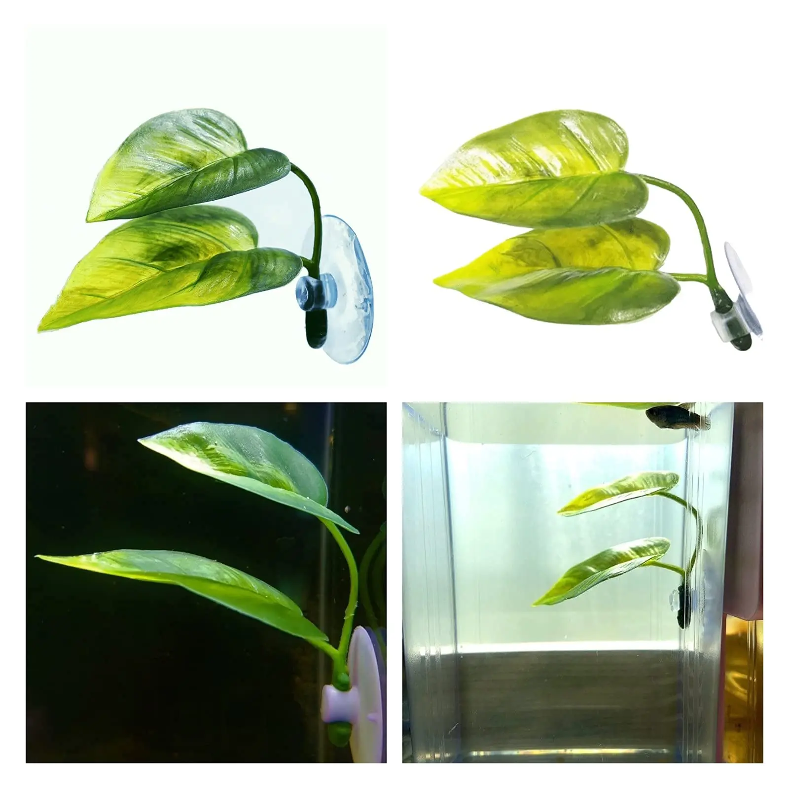 Pets Fish Tank Decor Betta Rel - đánh giá và giá Aquarium Plant Holder