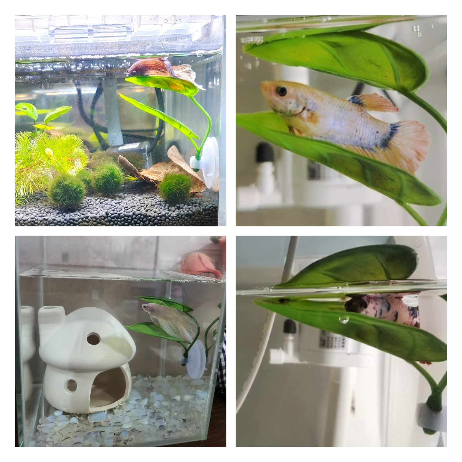 Pets Fish Tank Decor Betta Rel - đánh giá và giá Aquarium Plant Holder