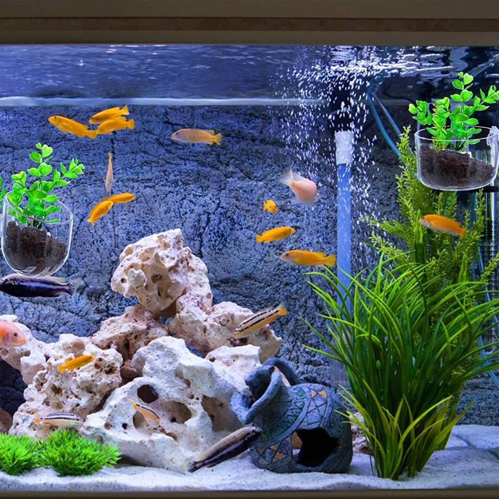 Aquatic Plant Pot Clear Acryli - đánh giá và giá Plant Aquarium Pot
