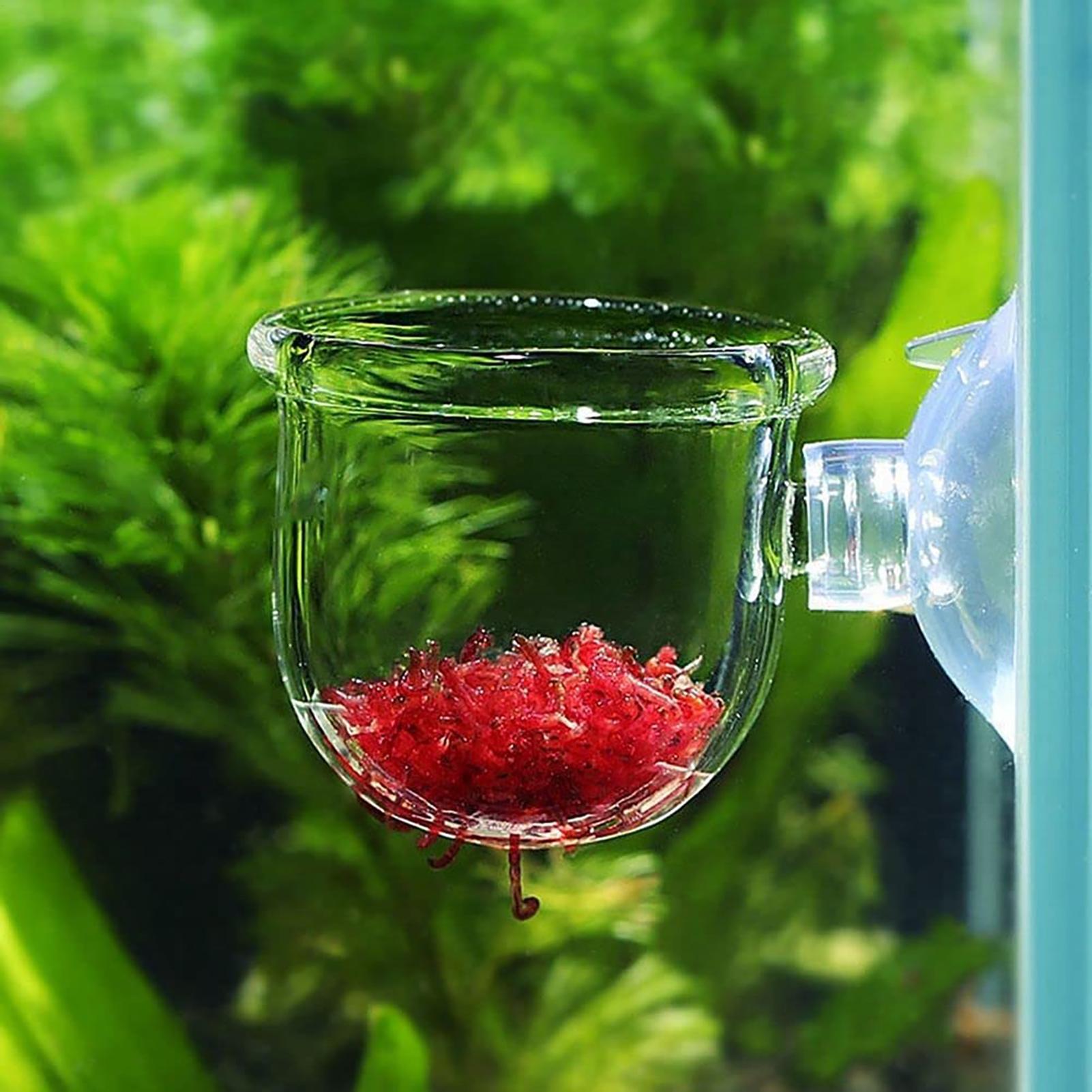 Aquatic Plant Pot Clear Acryli - đánh giá và giá Plant Aquarium Pot