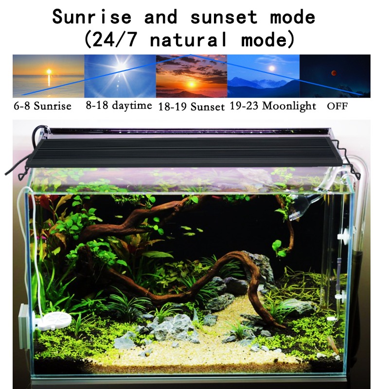 LED Fish Tank Light Full Spect - đánh giá và giá Aquarium Plant Light