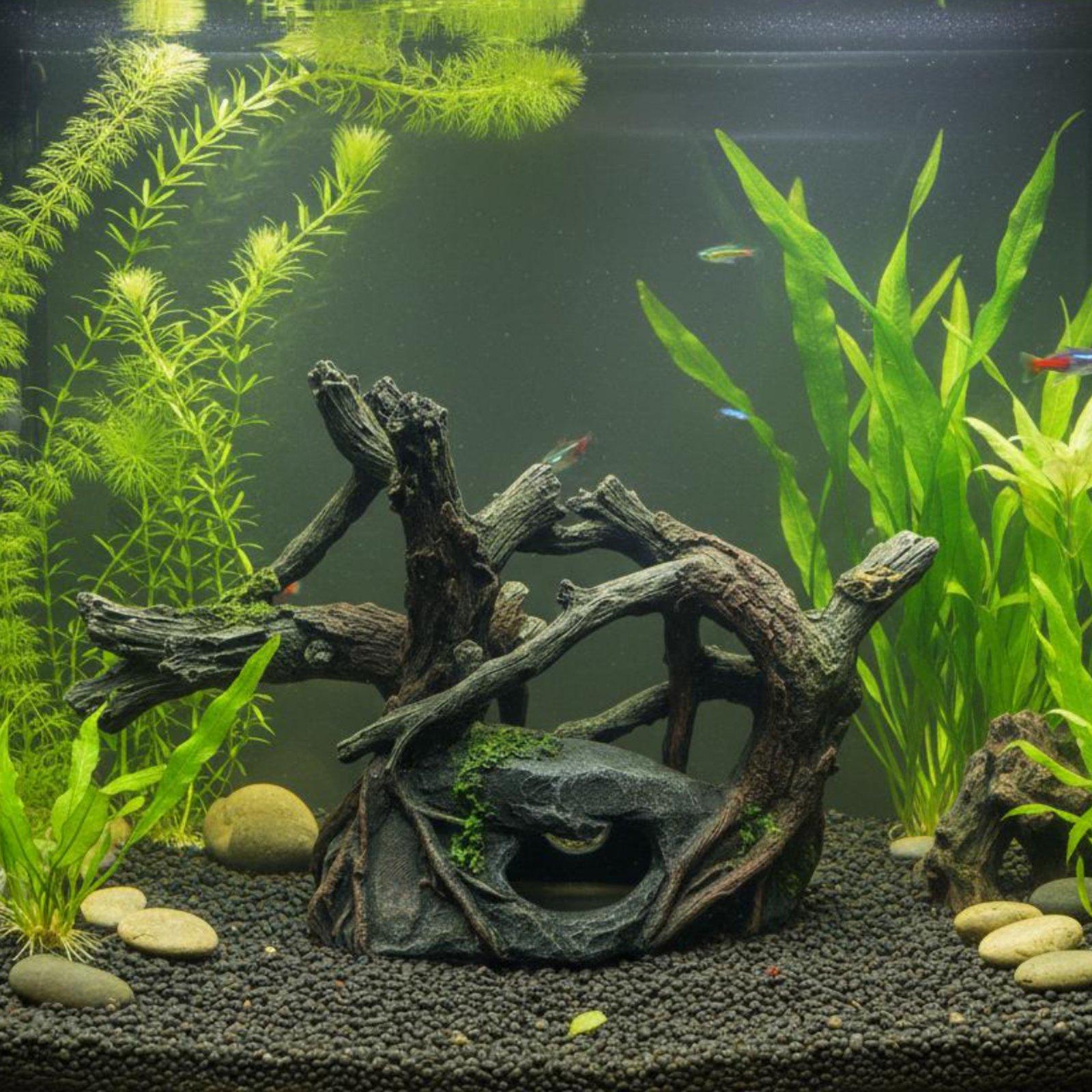 Aquarium Hideout Wide Base Res - đánh giá và giá Aquarium Driftwood