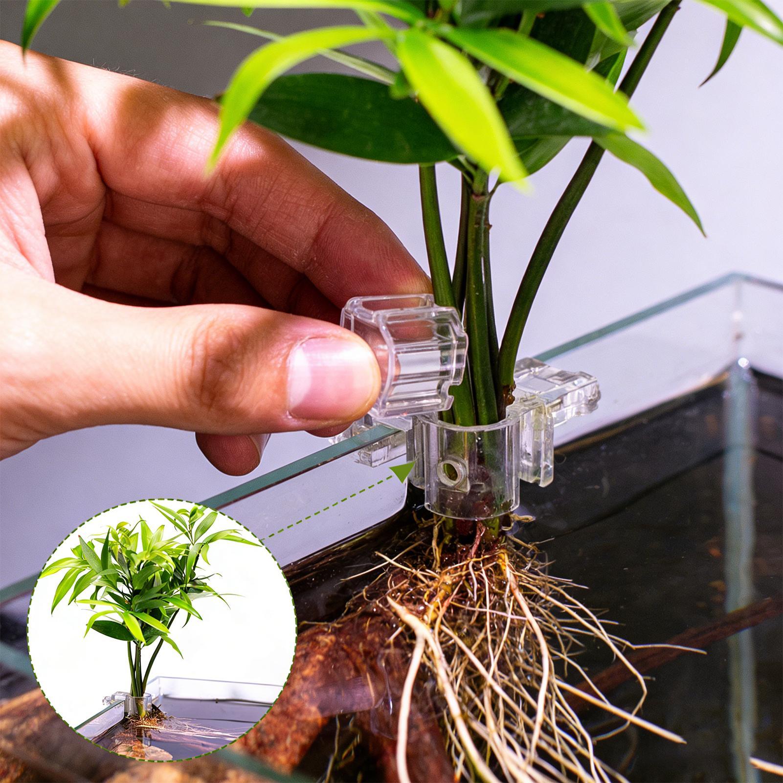 Aquarium Plant Basket Transpar - đánh giá và giá Aquarium Plant Holder