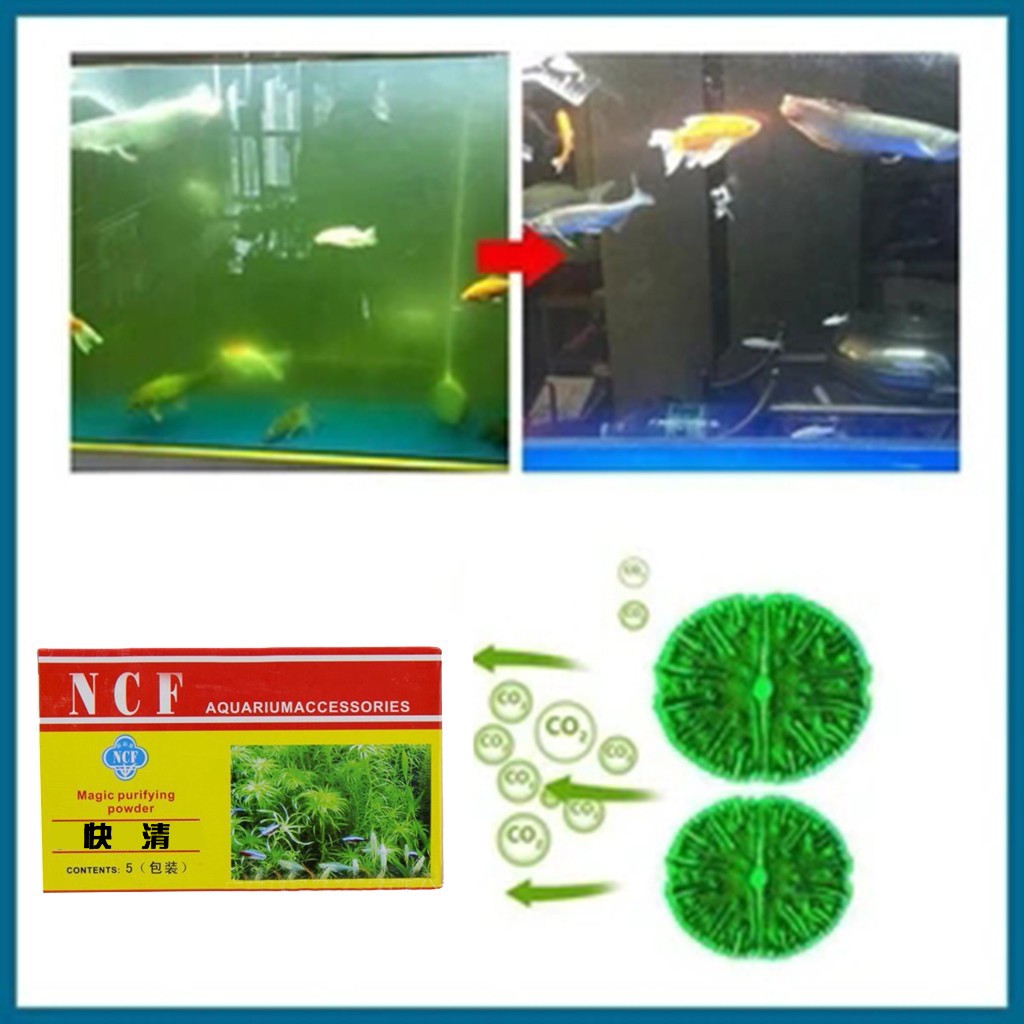 Aquarium Water Purifying Powde - đánh giá và giá Aquarium Moss