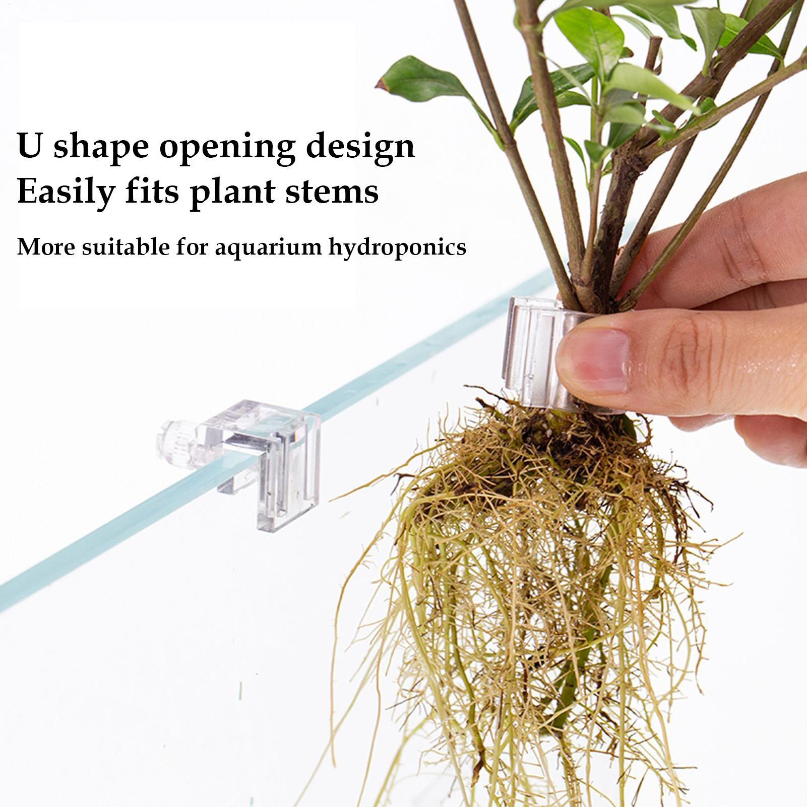 Fish Tank Plant Holder 6 Piece - đánh giá và giá Aquarium Plants Live
