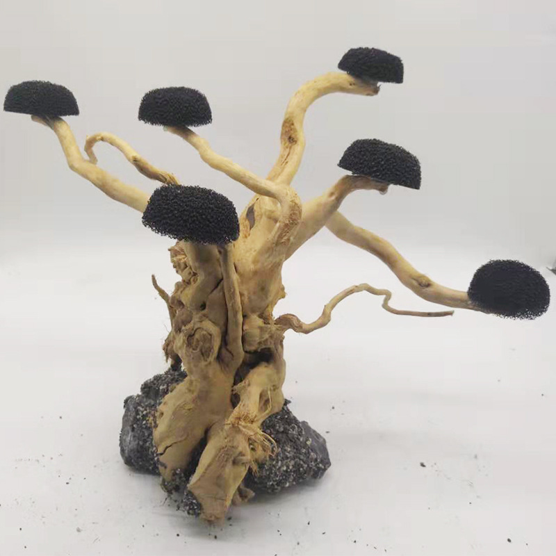 Aquarium Driftwood Landscaping - đánh giá và giá Aquarium Driftwood