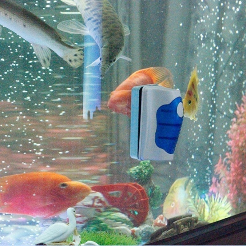 Fish Tank Glass Scraper Cleane - đánh giá và giá Planted Aquarium Cleaning