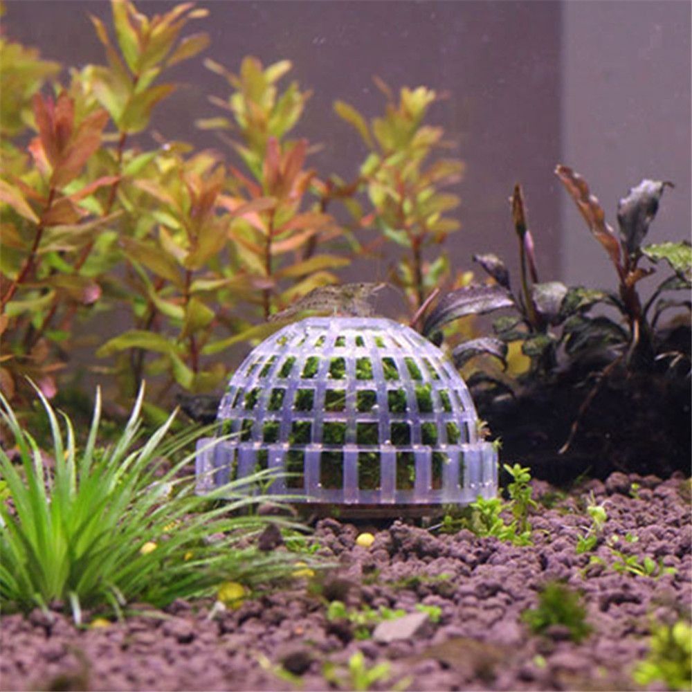 New Plastic Suspension Moss Do - đánh giá và giá Aquarium Plants Live