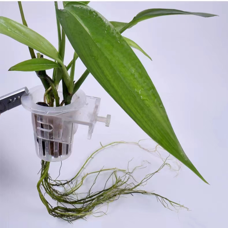 Aquarium Planting Basket Hydro - đánh giá và giá Aquarium Plants Live